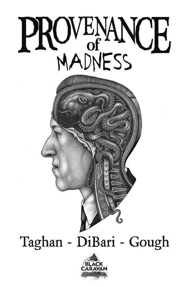 Provenance Of Madness TPB Cover A Paul Jackson
