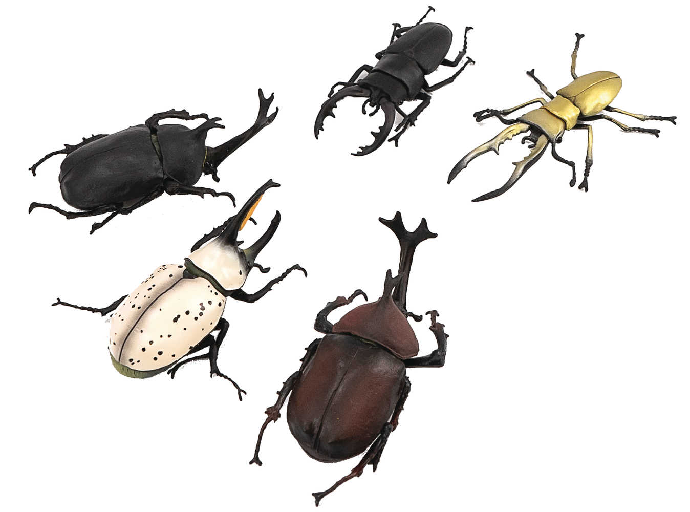 Beetle & Stag Beetle Hunter 10 Pc Blind Mystery Box Display 
